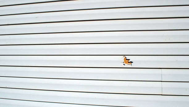 Bellefontaine, OH Siding Installation & Repair Company