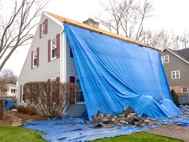 Best Stone Veneer Siding  in Bellefontaine, OH