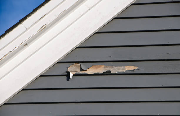 Affordable siding repair and maintenance services in Bellefontaine, OH