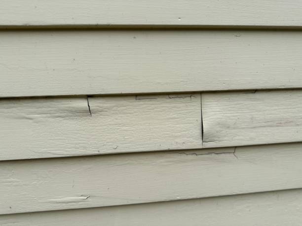 Best Siding Painting and Refinishing  in Bellefontaine, OH